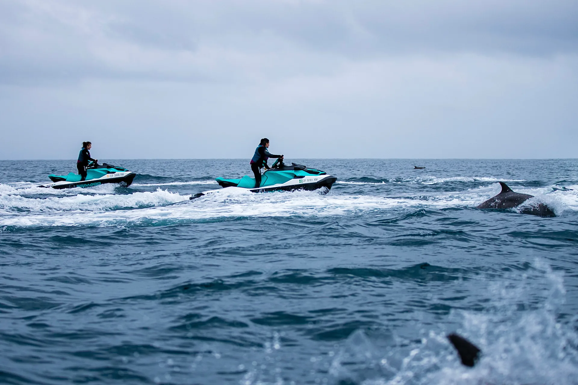 Jetski2 Catalina - image 4