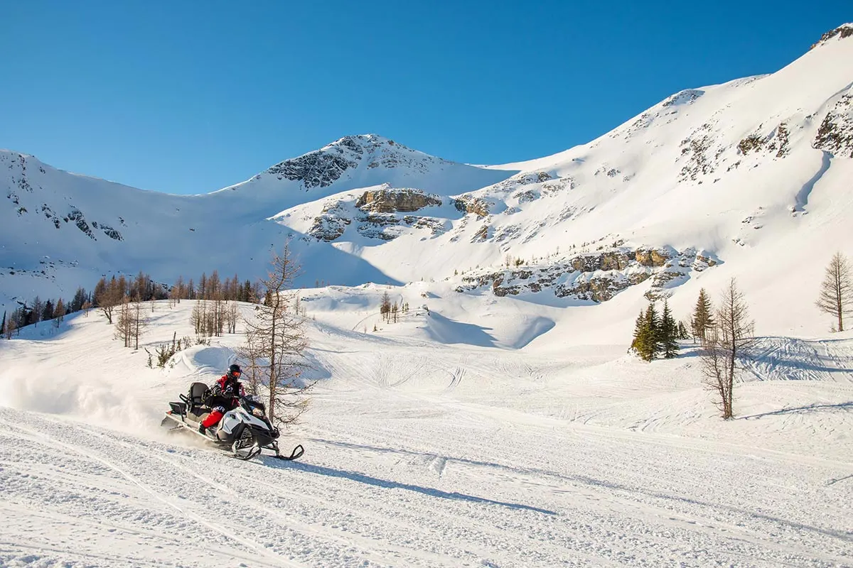 toby creek adventures 