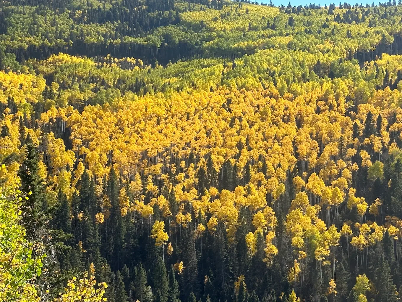 angel outback adventures 