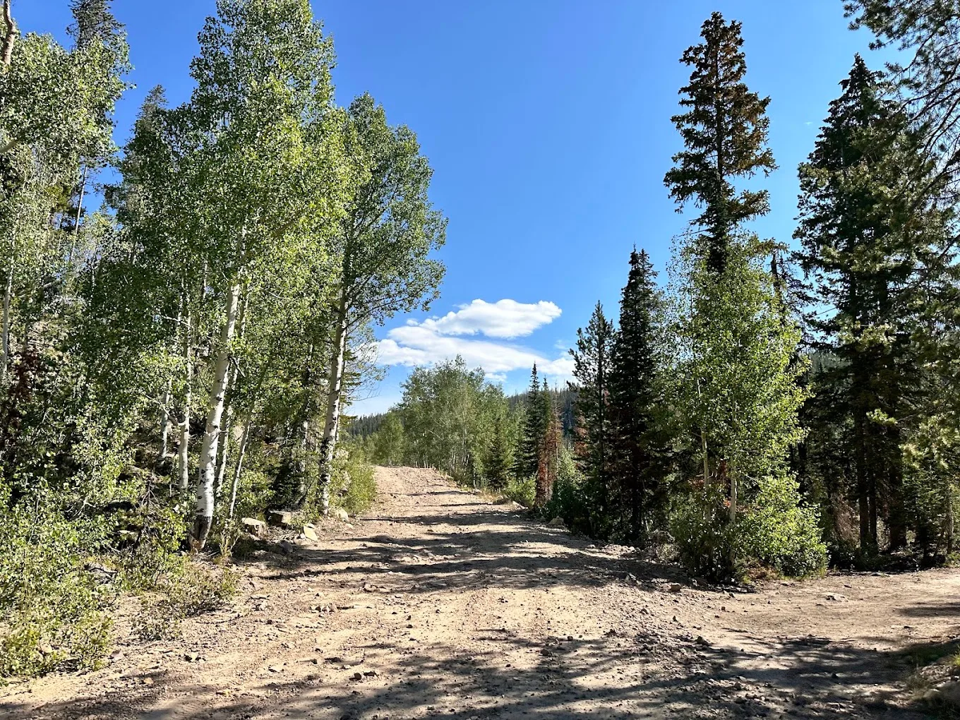 New outfitter gallery image from Uinta Recreation for adventure: 57EWzDm7nkRdn9PO2CYu8d