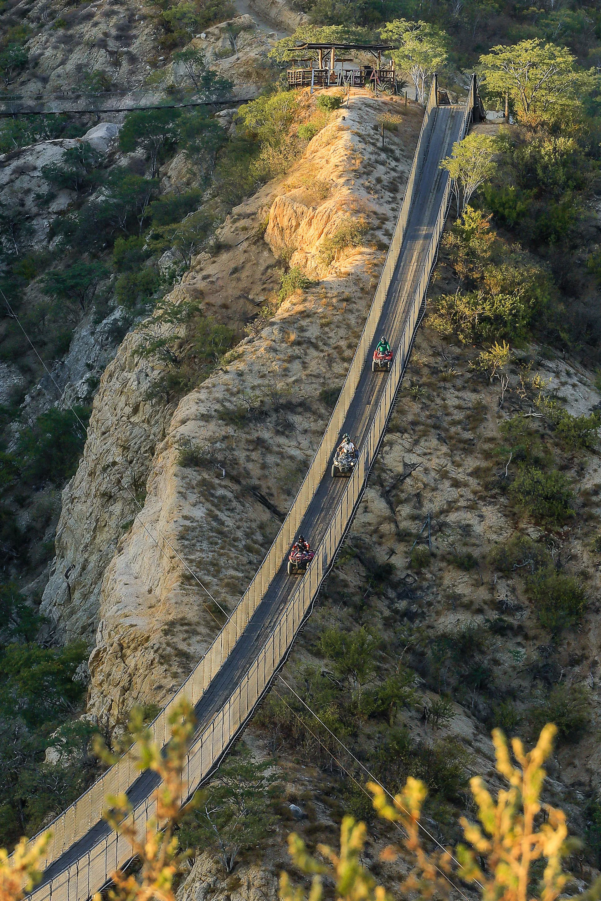 wild canyon