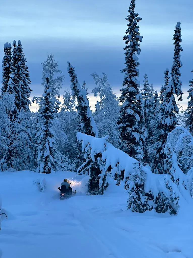 Midnight Sun ATV Tours - image 1