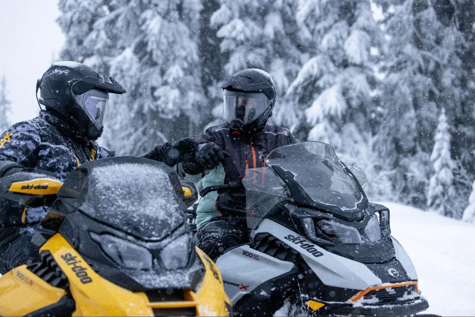 The last resort - renegade tour image 2