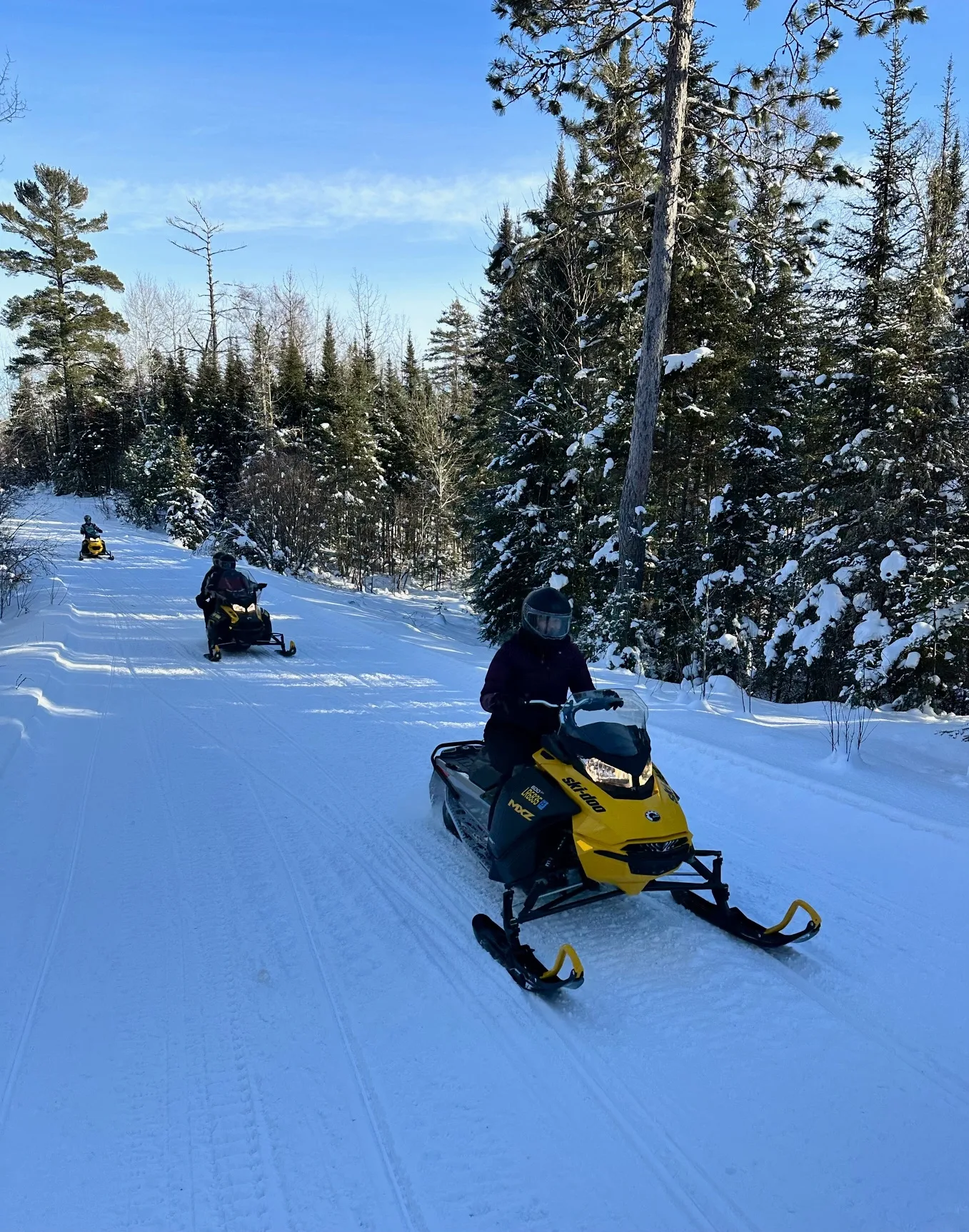 Lossing’s Power Sports - image 3