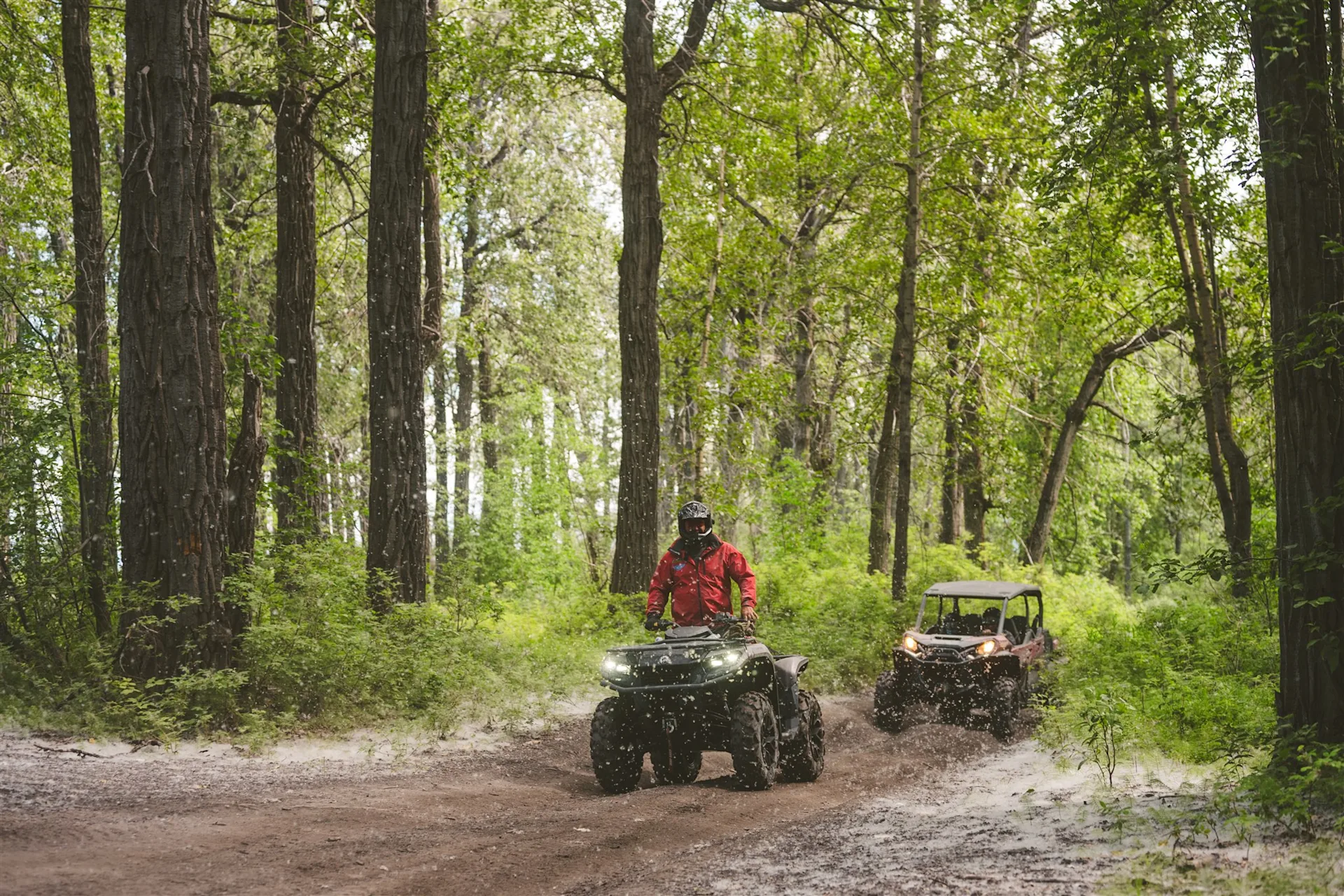 Alaska Backcountry Adventure Tours - image forest