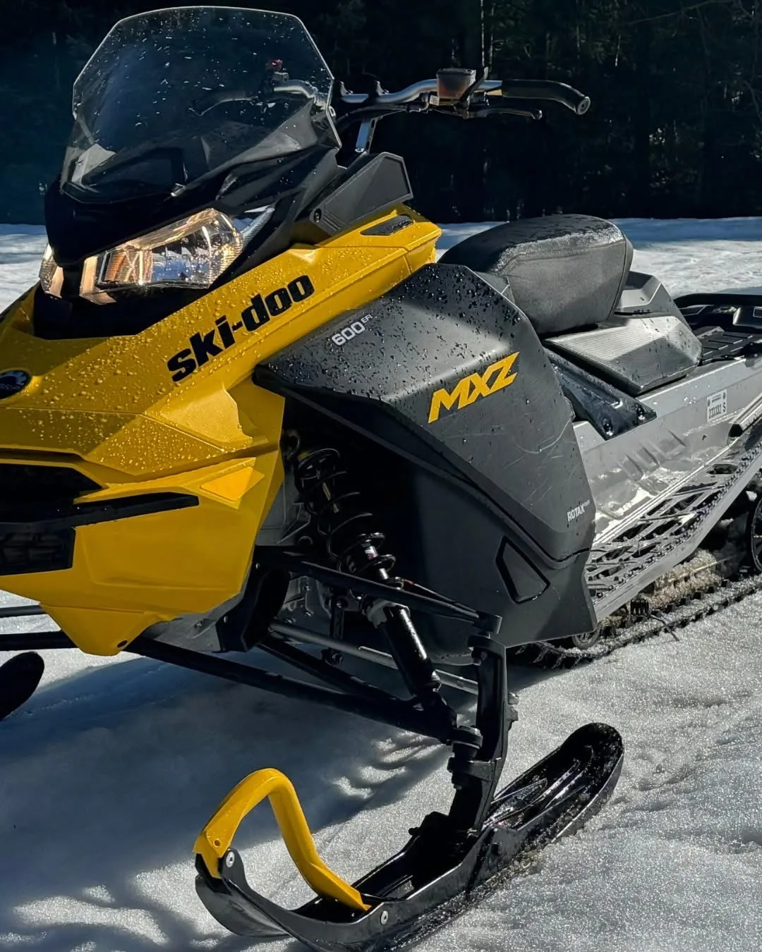 The last resort - image mxz