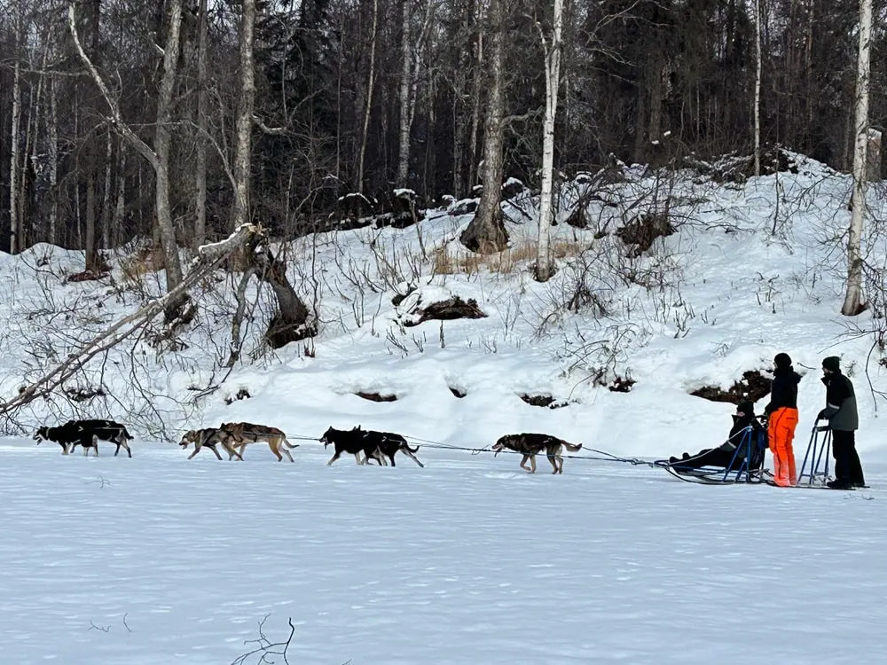 Alaska Wild Guides - image 8