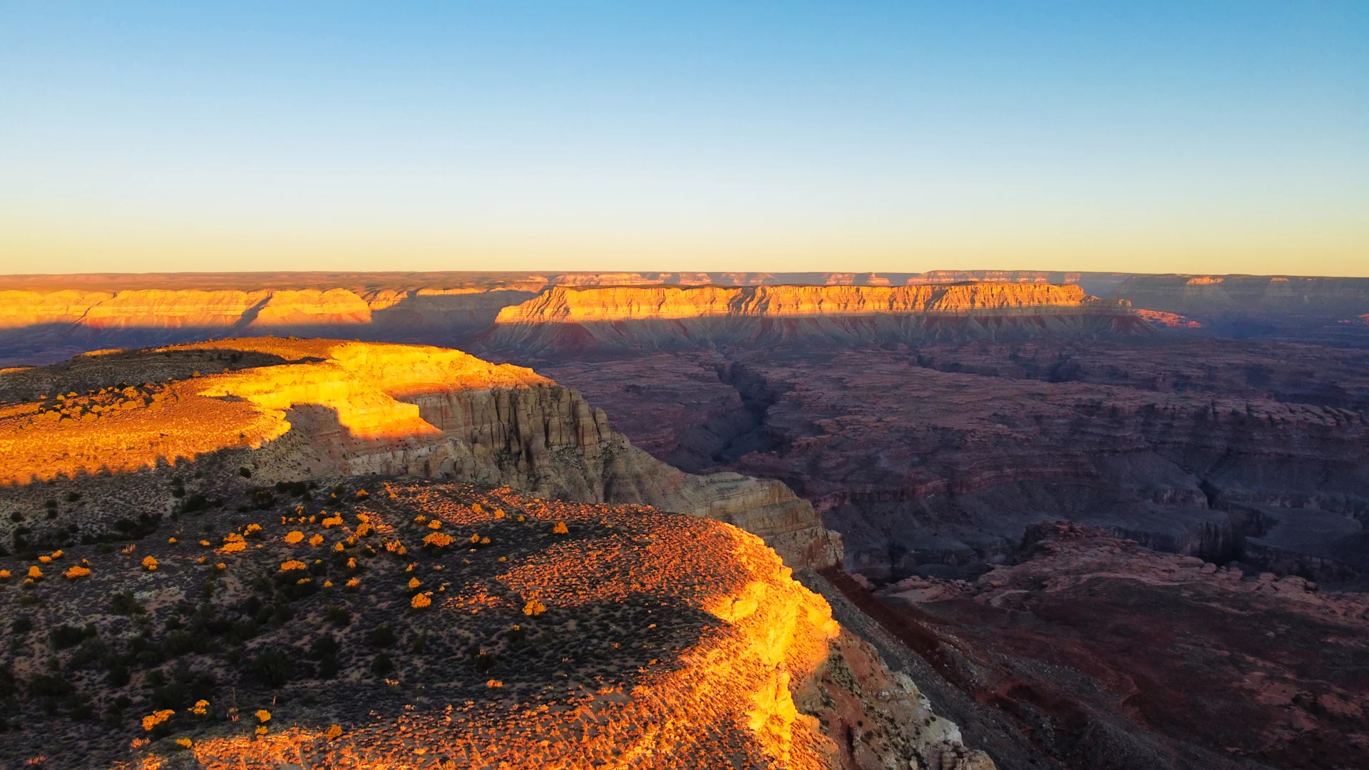 wilderness collective 