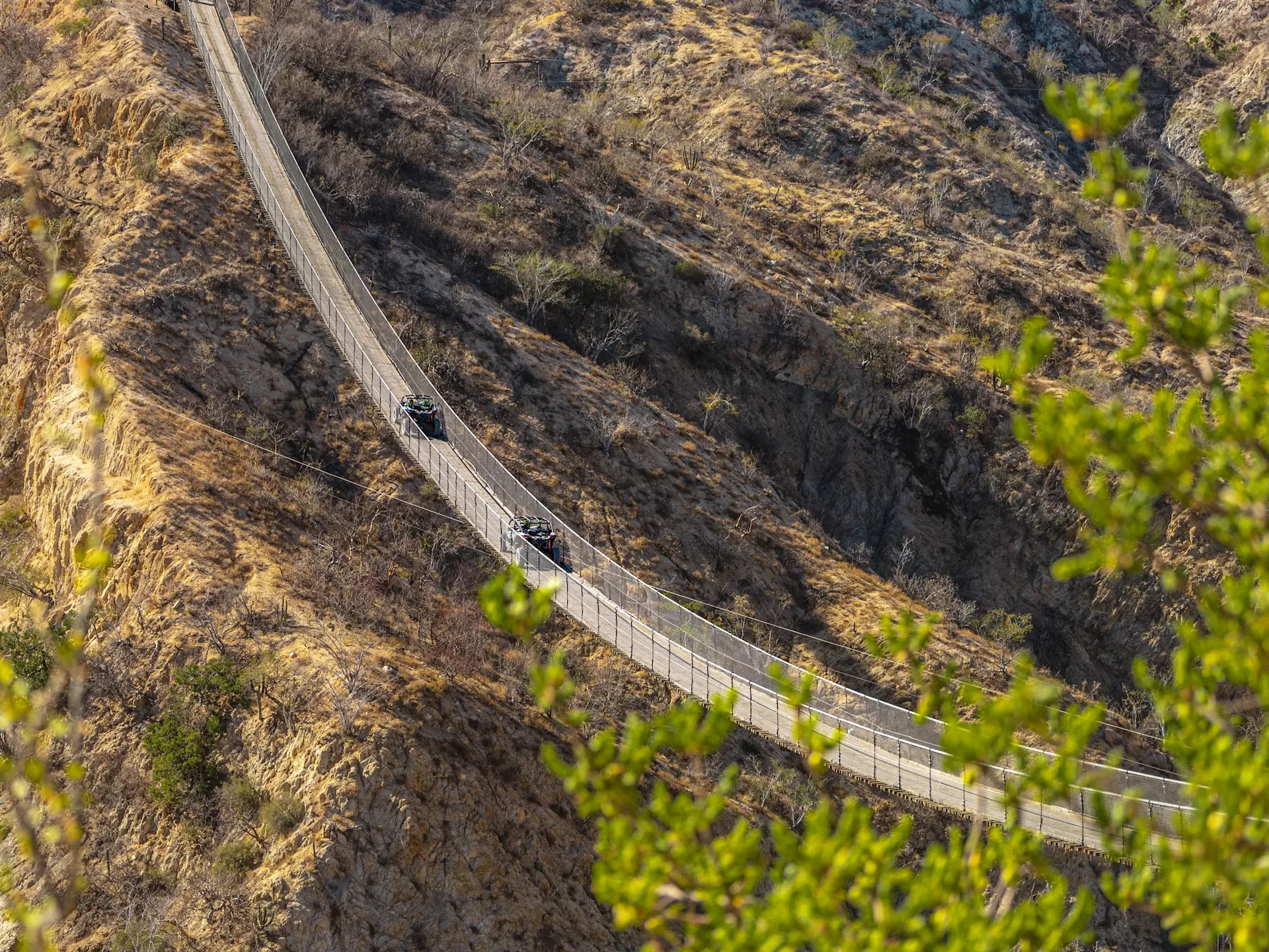 Wild Canyon Adventures 
