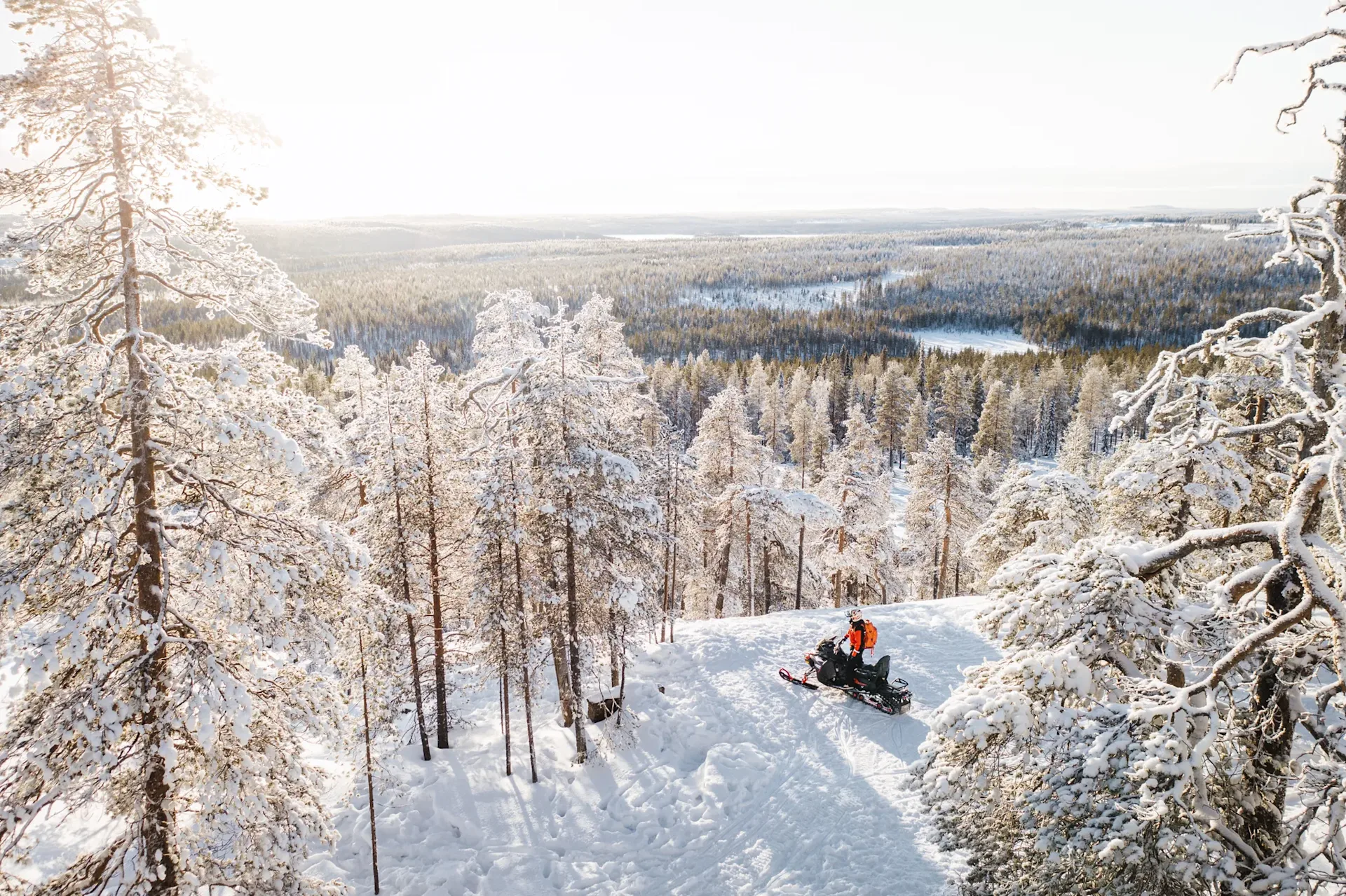lapland safaris images 