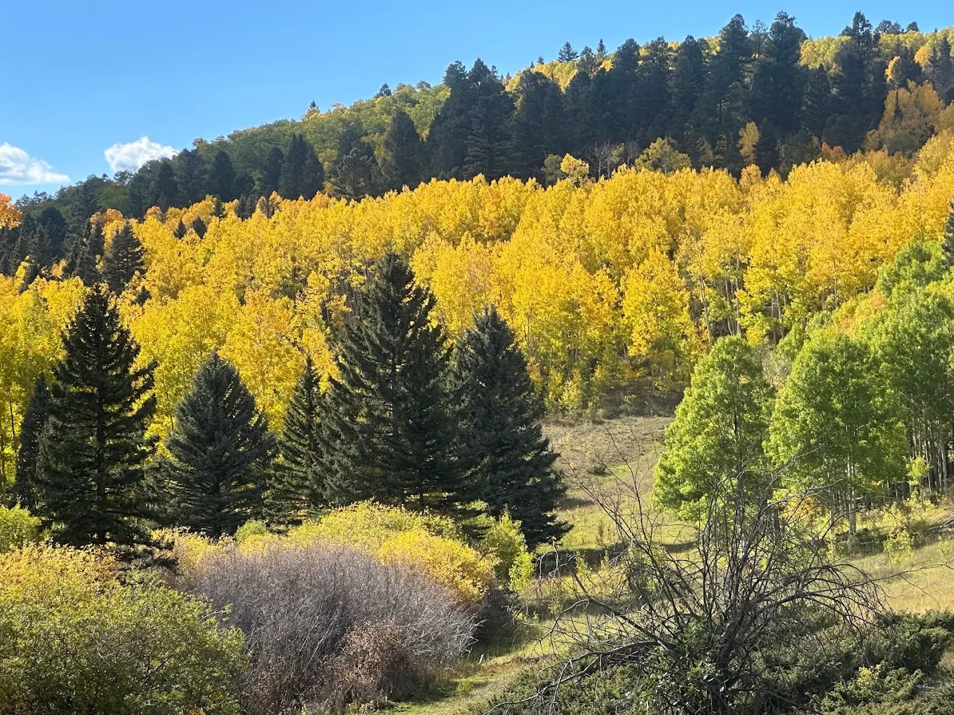 angel outback adventures 