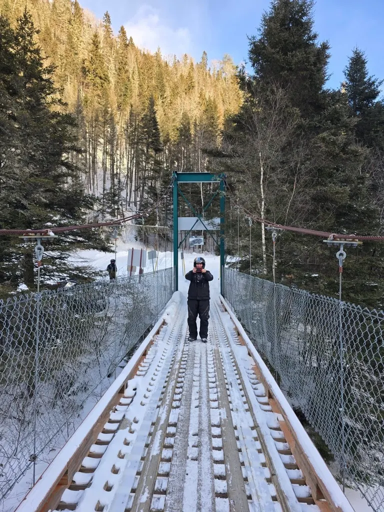 1061E499-D1D5-4A41-B508-59168BA25ED4 1 105 c - Al McFarlane (1)