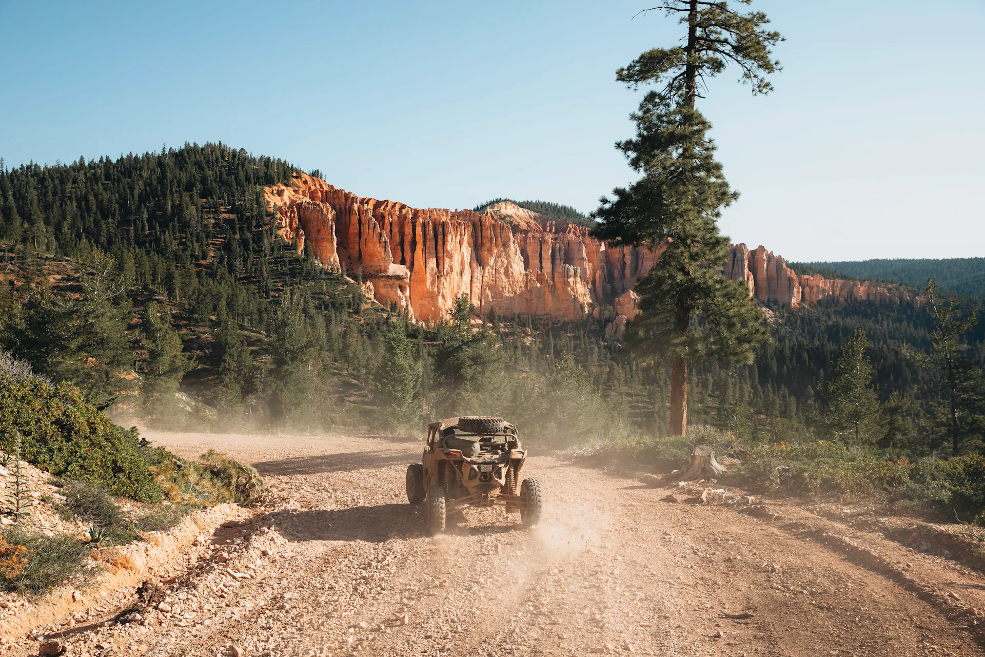 wilderness collective