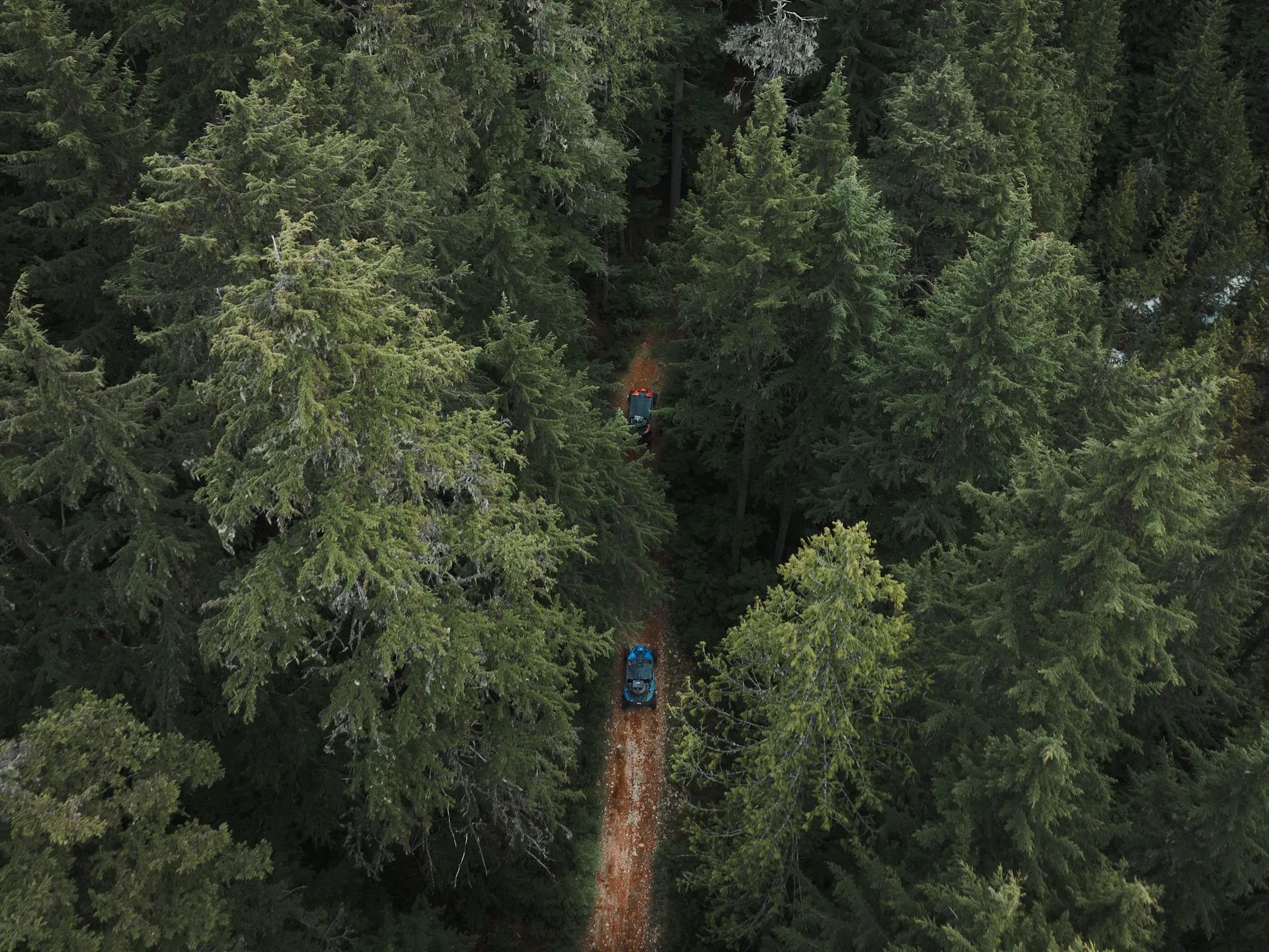 great canadian tours 