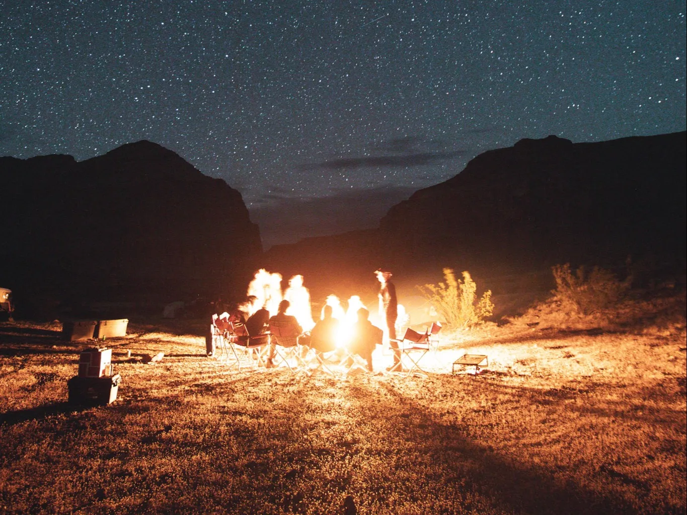 wilderness collective