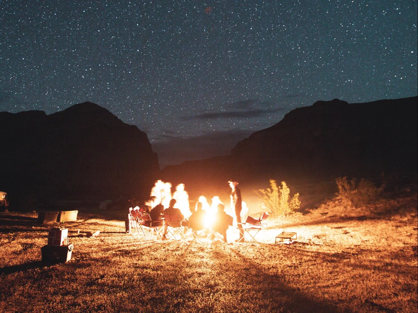 wilderness collective