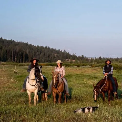 off grid experiences