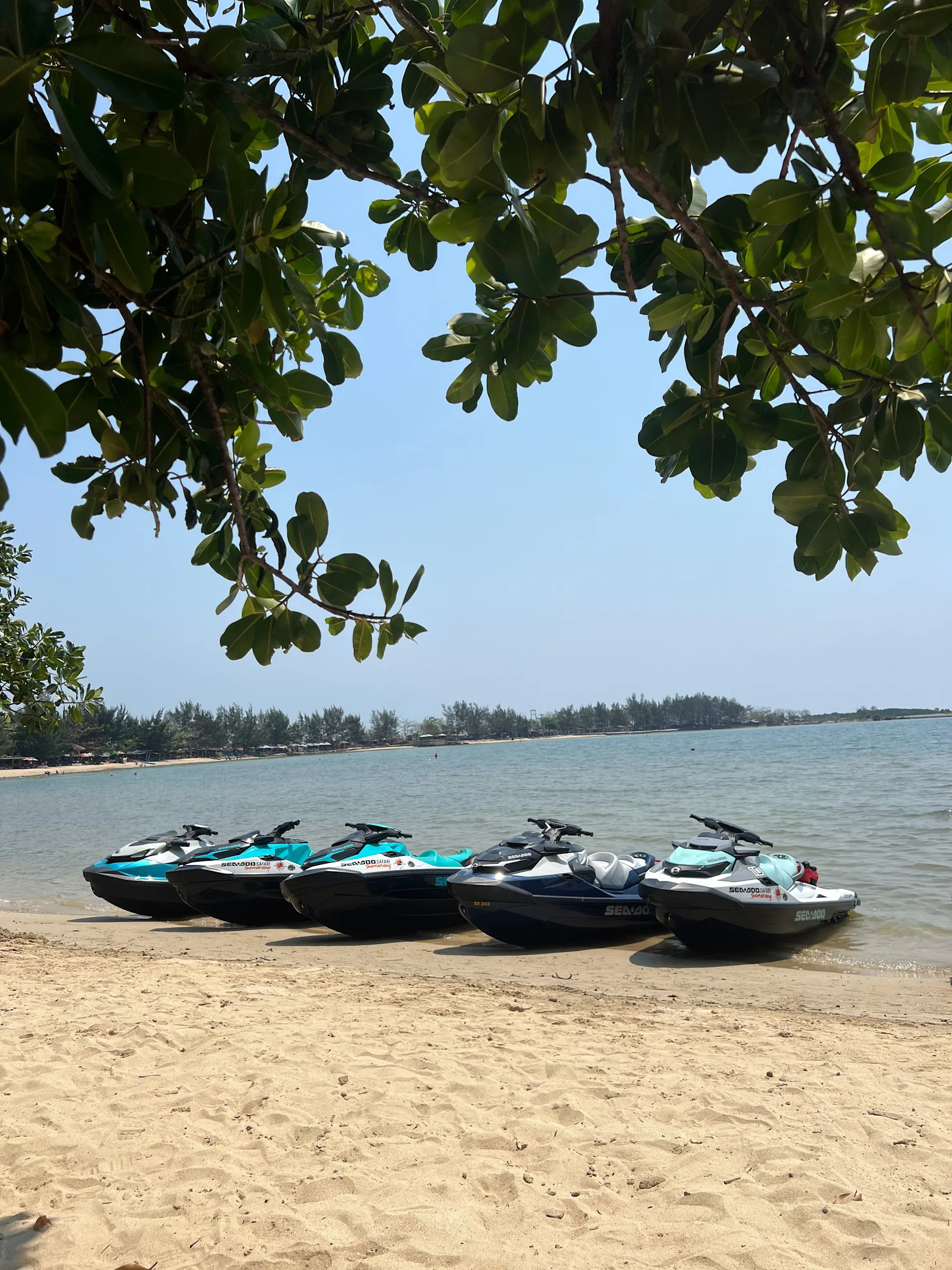 Design sans titre (5)