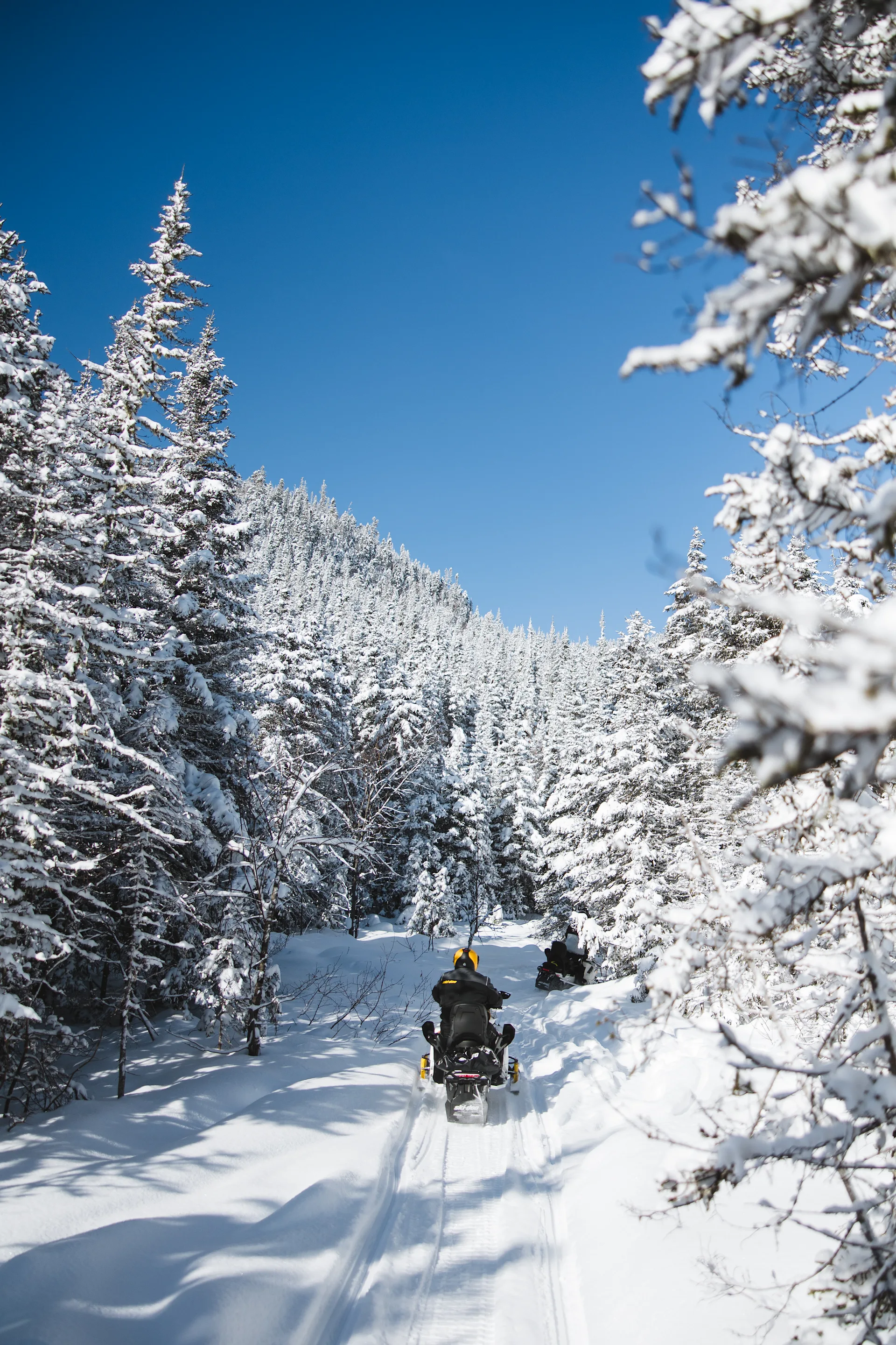 UNSO IMAGO VALINOUET MMX 2024-165