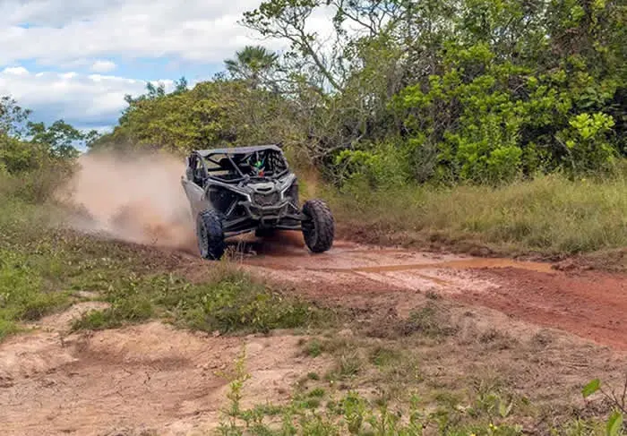 4 Seasons Powersports Rental - image 1