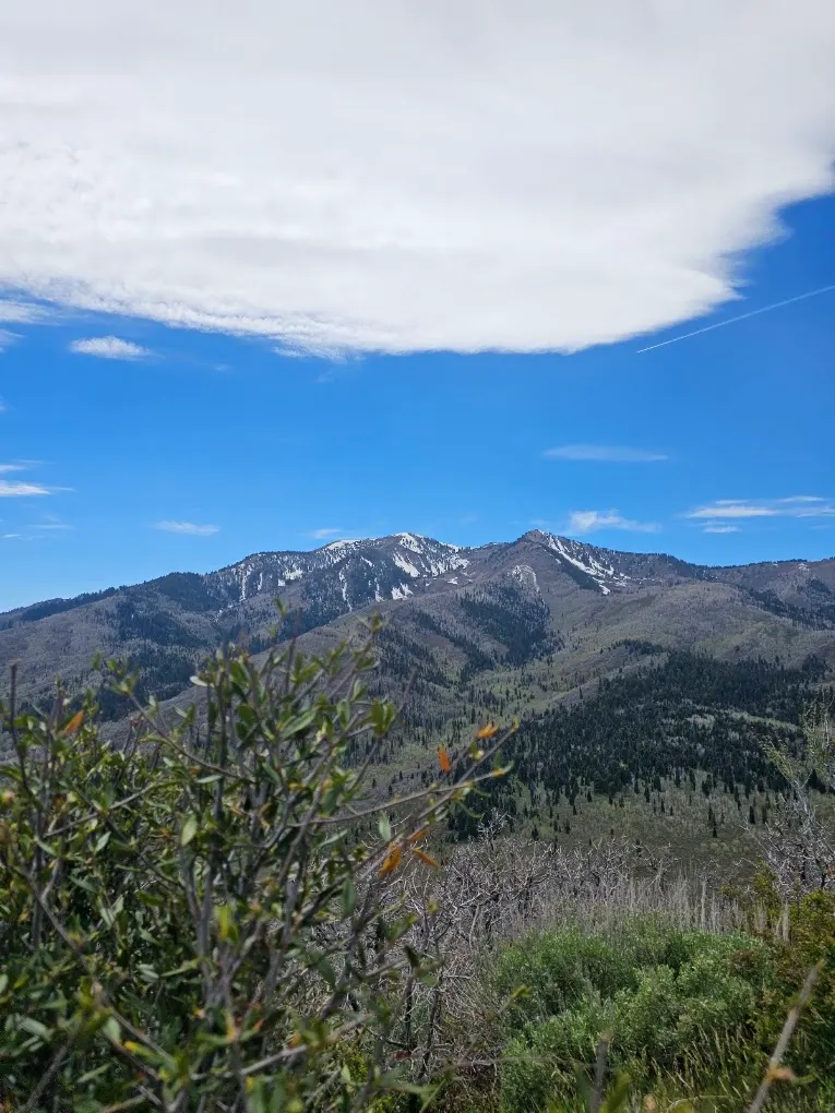 New outfitter gallery image from Uinta Recreation for adventure: 57EWzDm7nkRdn9PO2CYu8d