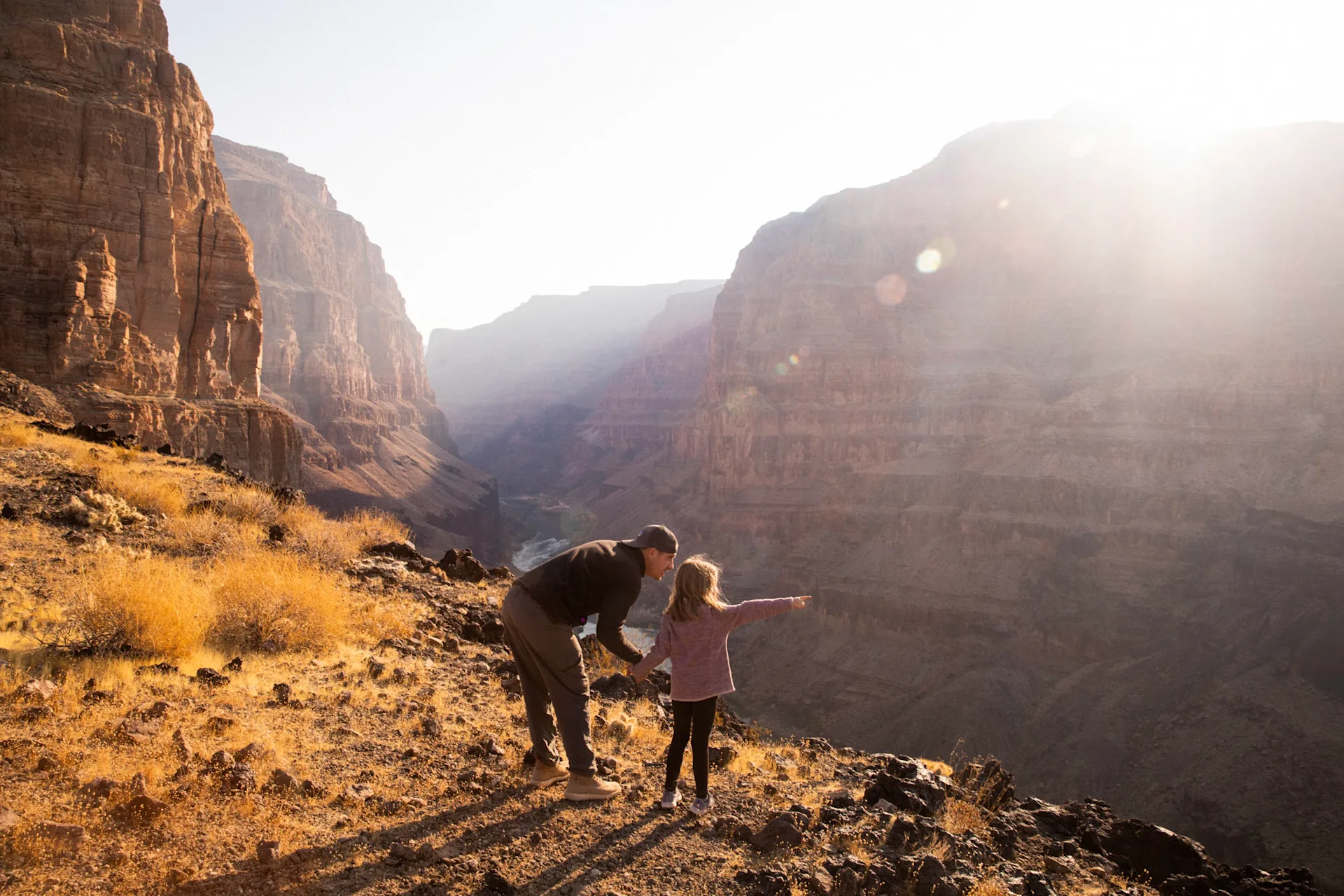 wilderness collective 