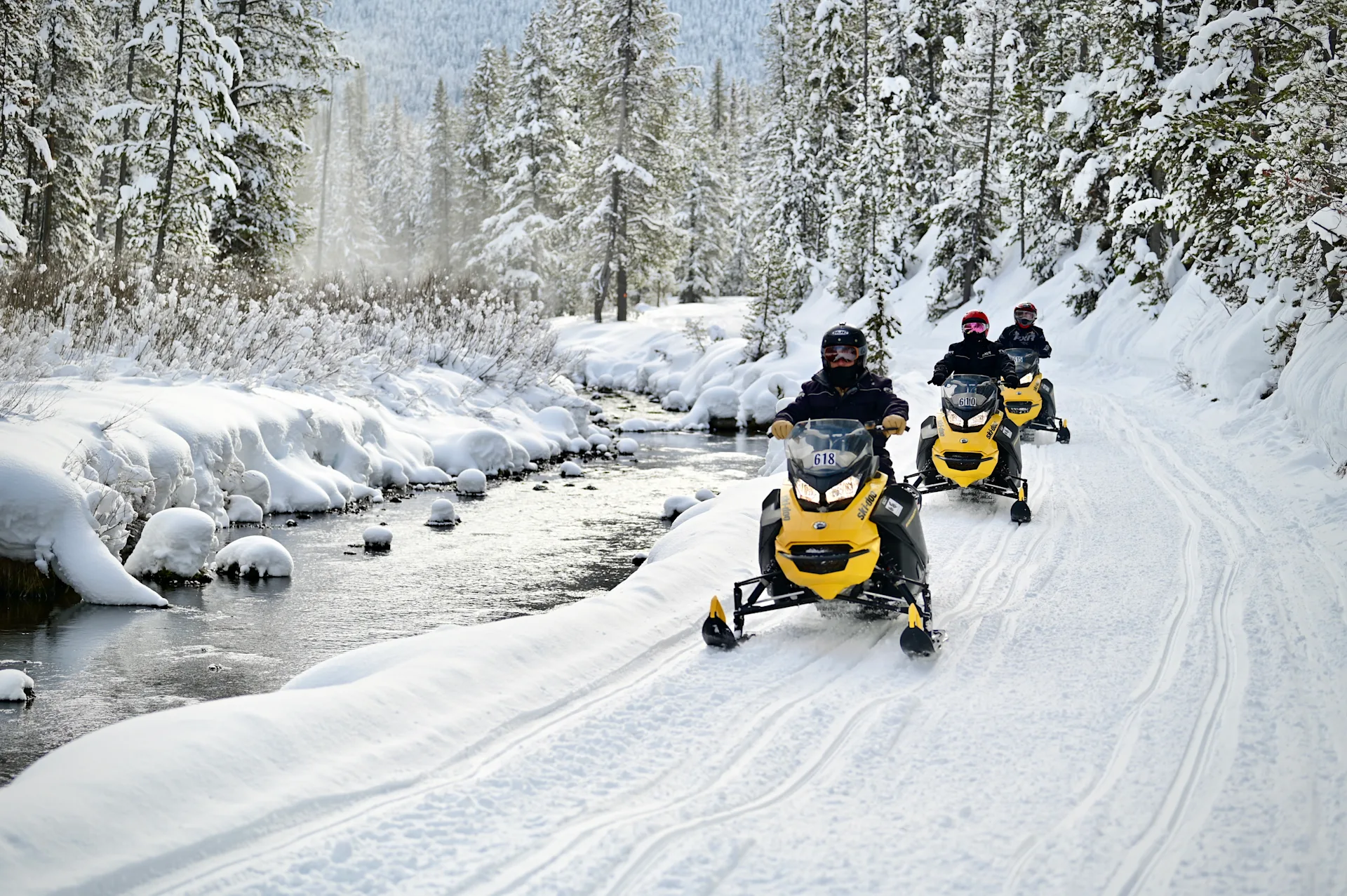Yellowstone, Montana