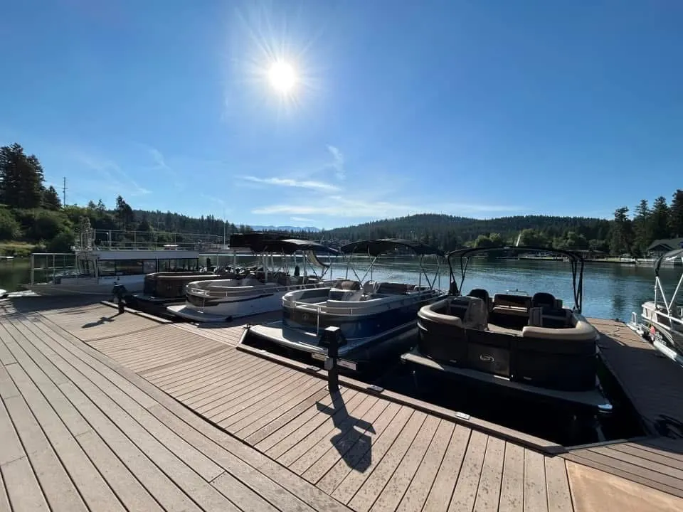 Blue Cat Boat Rentals - outfitter image