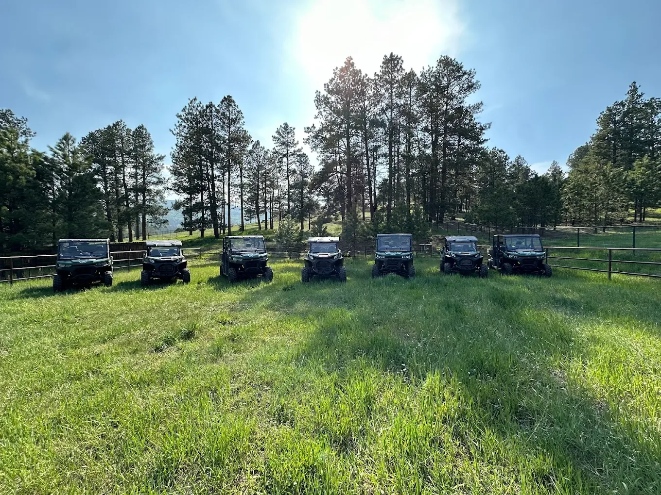 angel outback adventures 