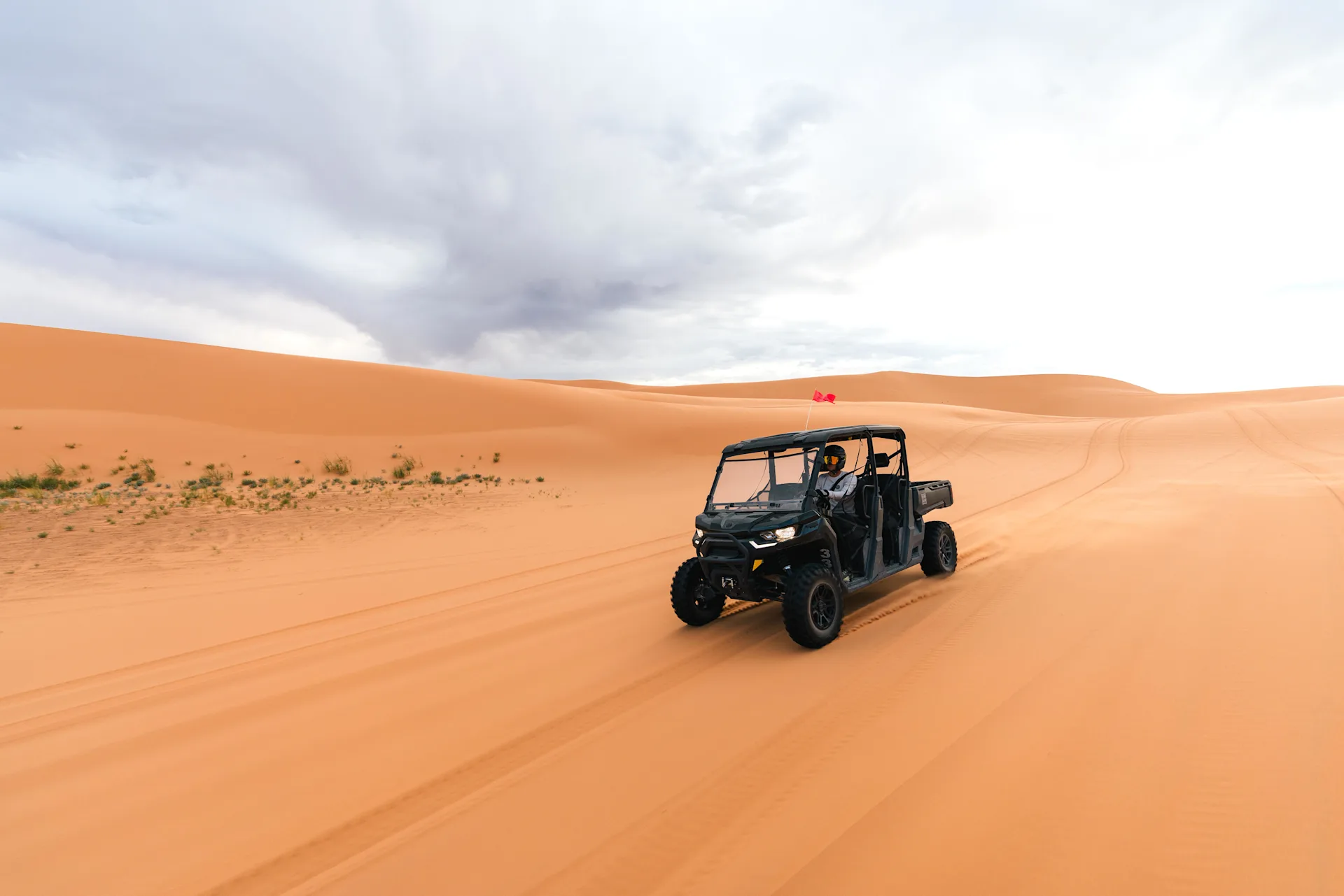 ROAM - Smores and stars 4