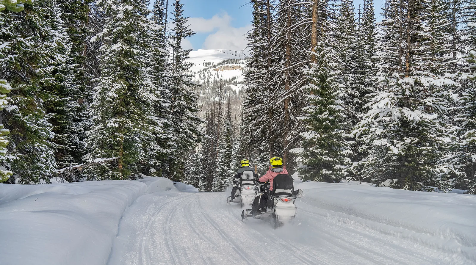 Jackson Hole, Wyoming