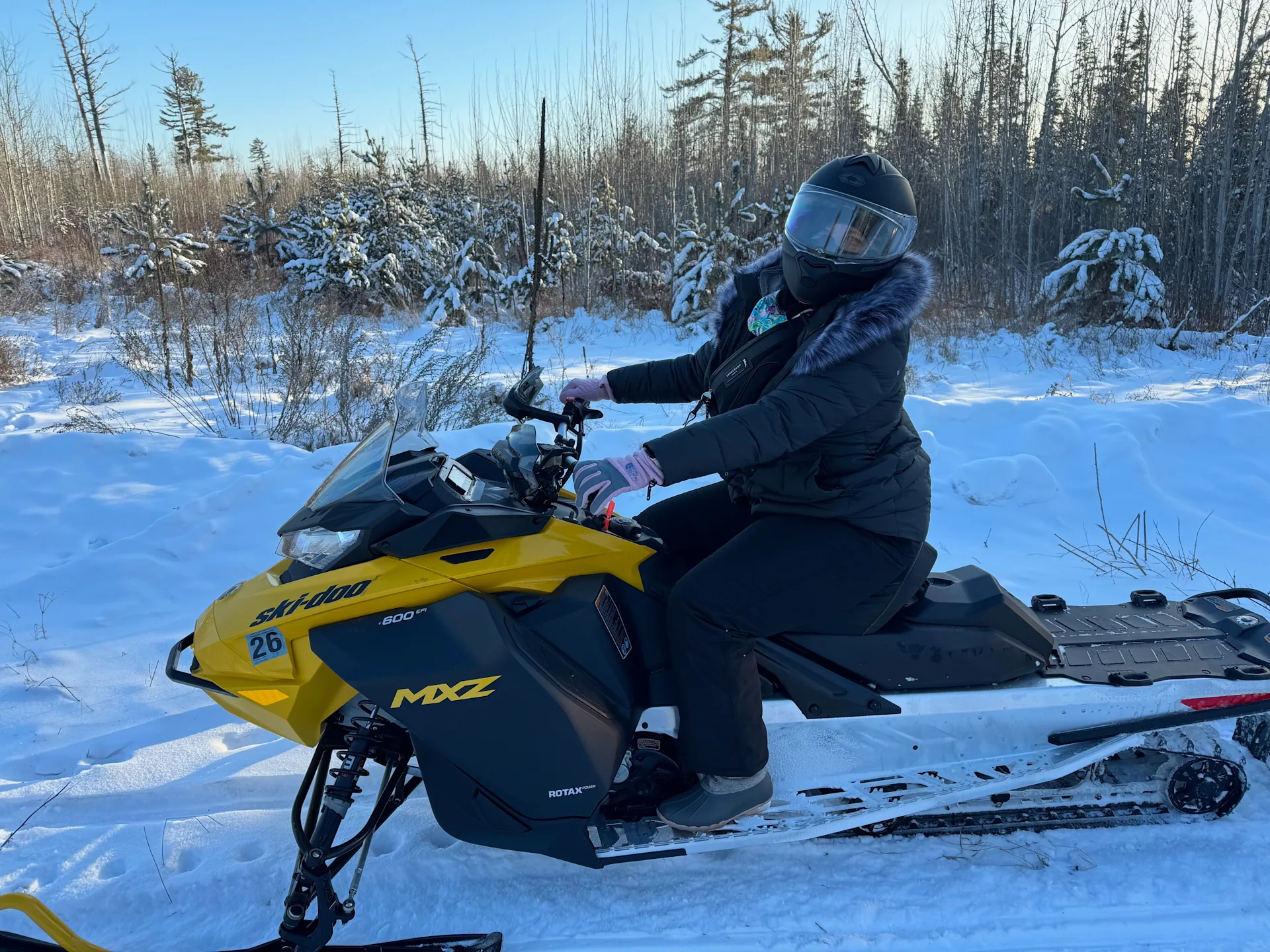 Lossing’s Power Sports - image 1