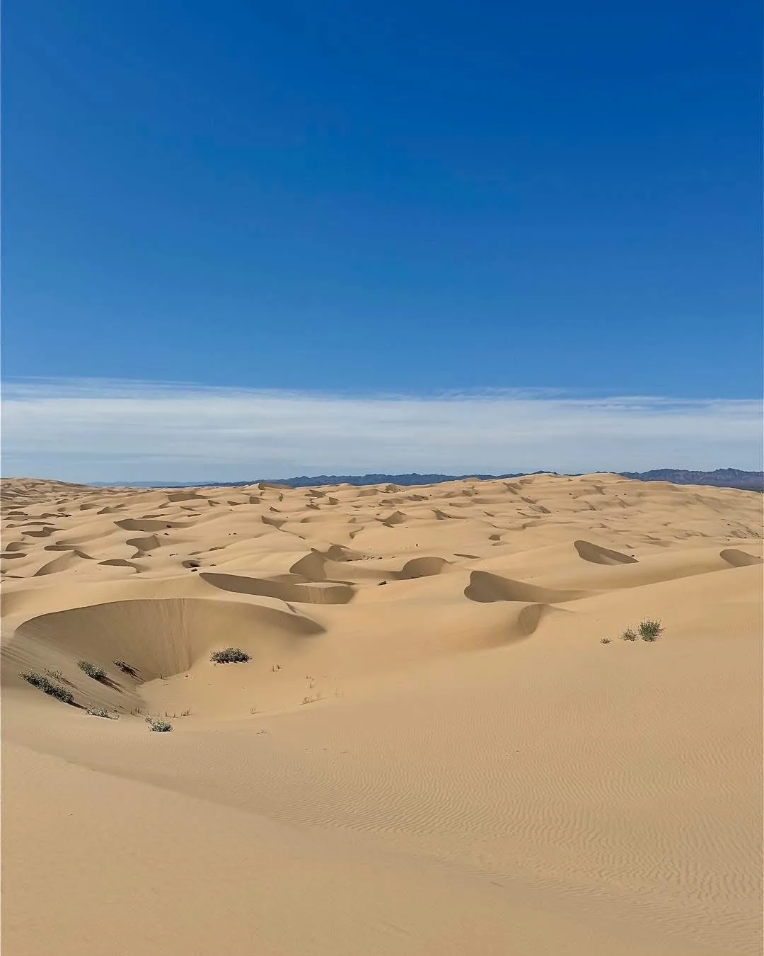 Glamis dunes rentals - image 2