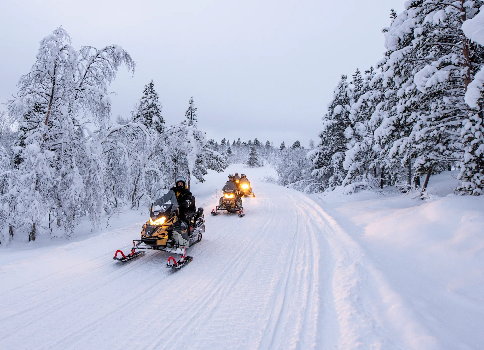 Sorrisniva - Alta Norway - Snow Lynx 1