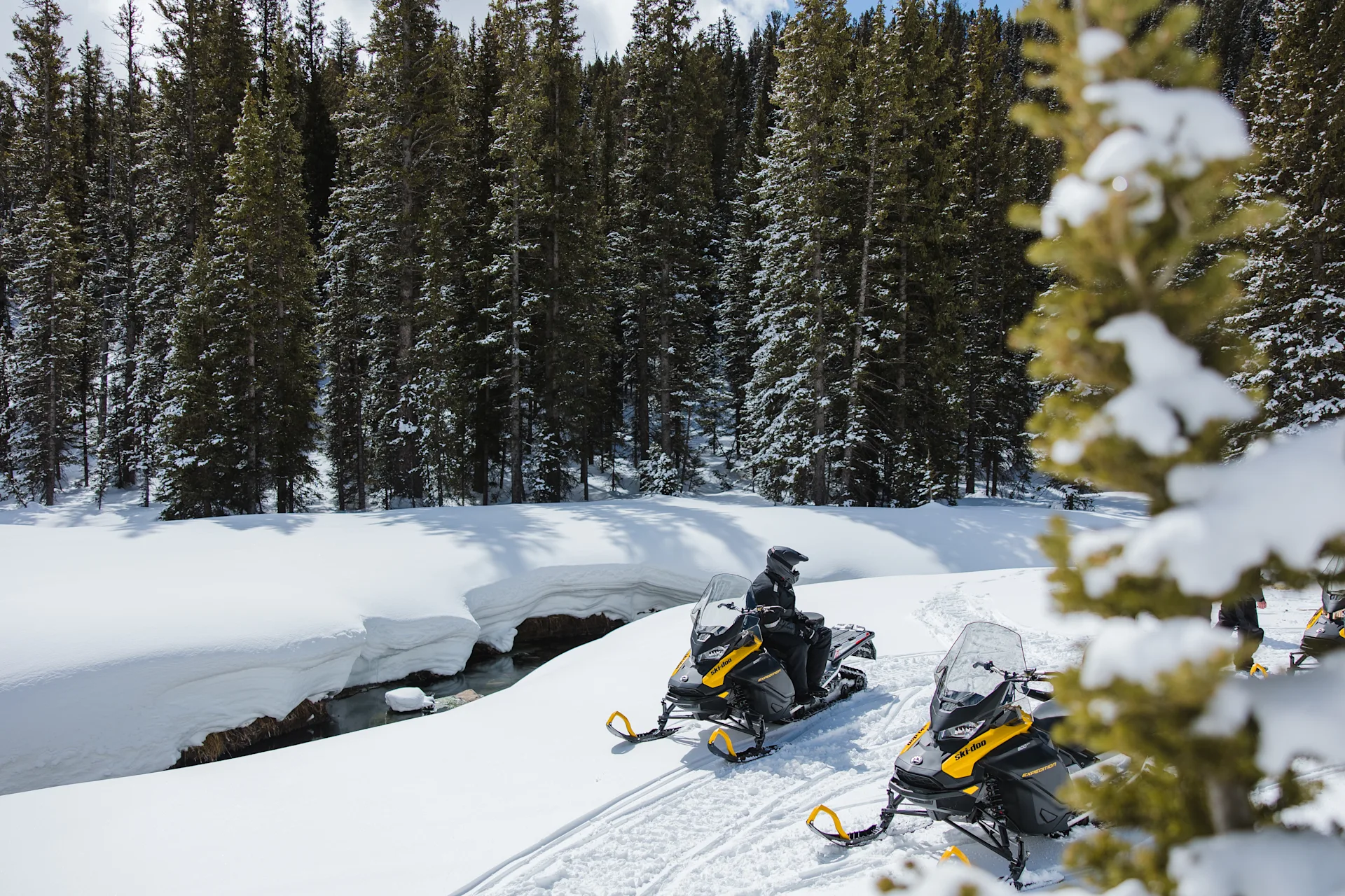 Beaver Creek Lodge - image 2