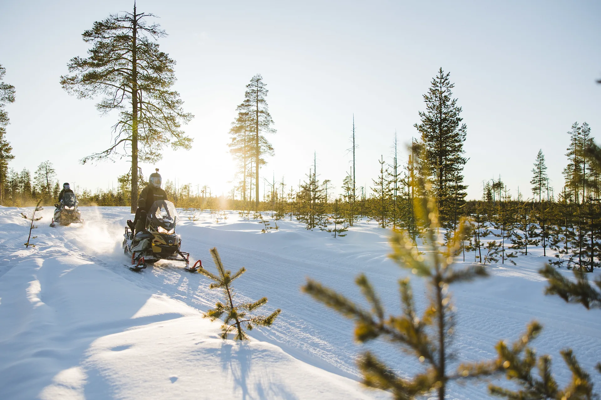 MMXPRODUCTION ACE BRP LAPLAND 2023-29