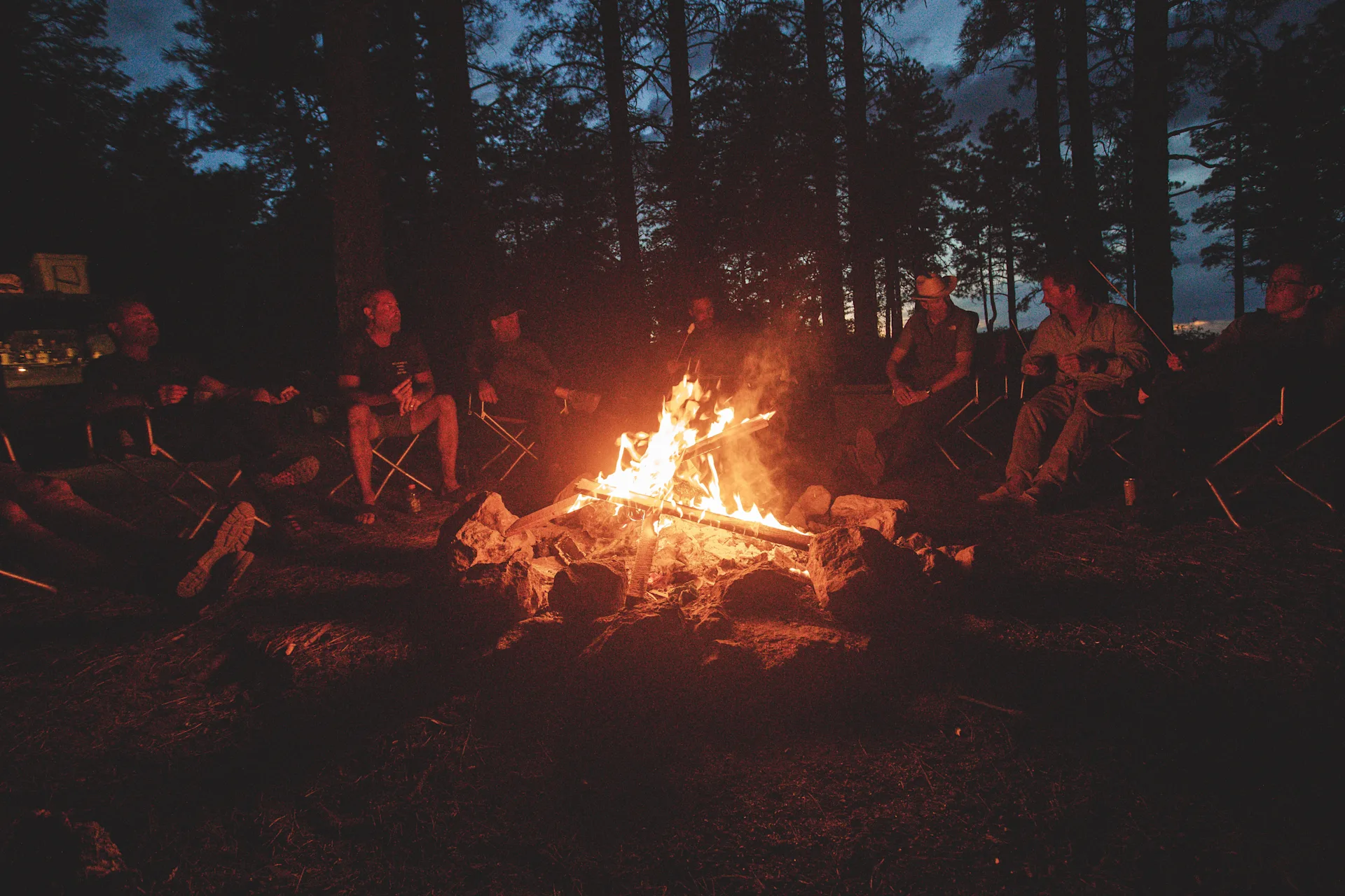 wilderness collective