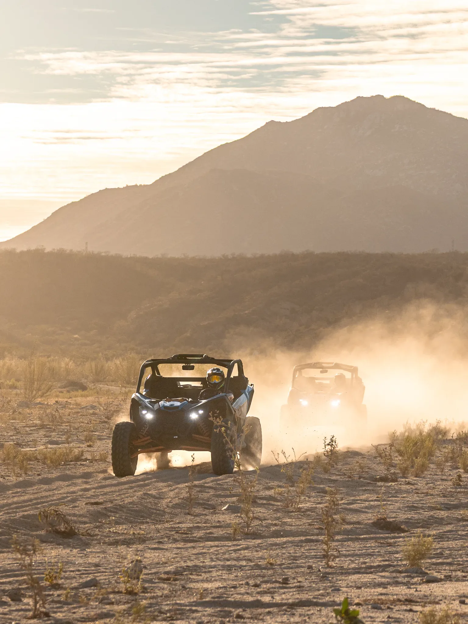 Wild Canyon Adventures 