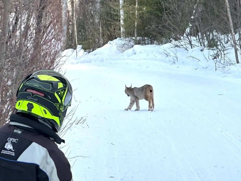 Ontario Québec Snowmobile Tours