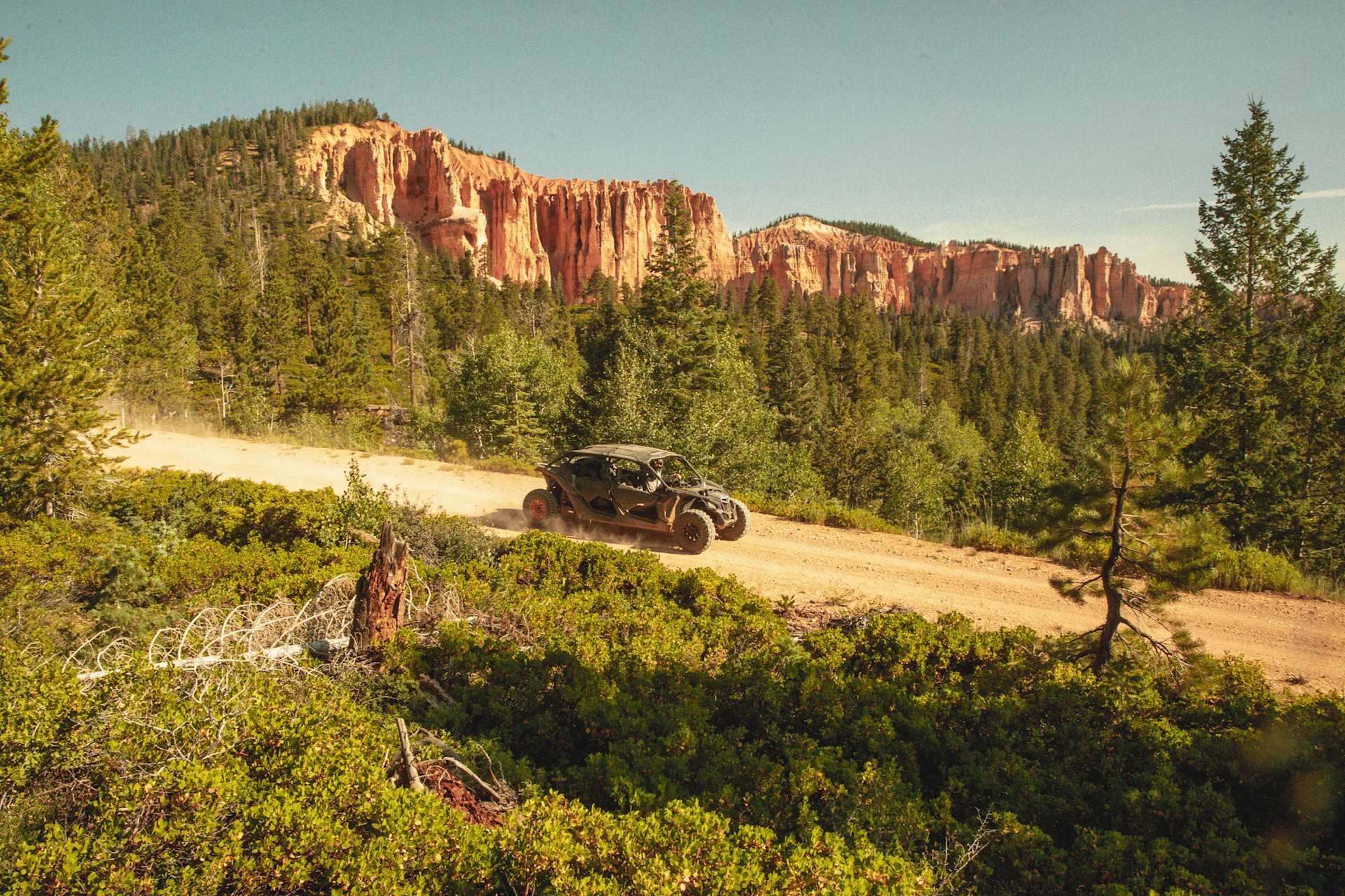 wilderness collective