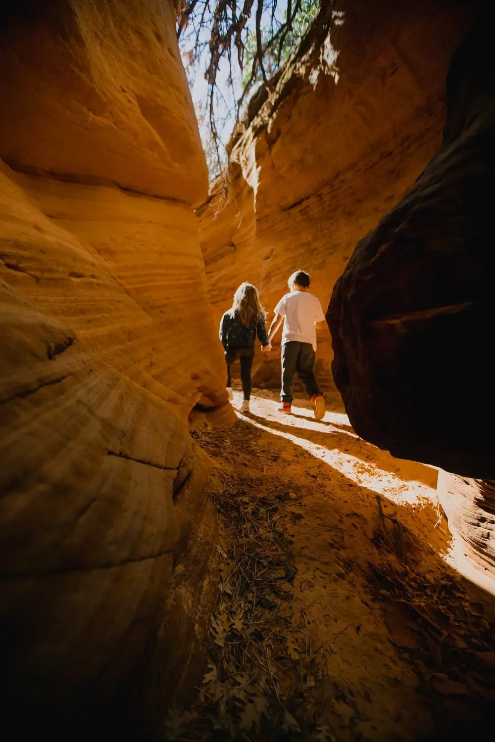 ROAM - sand dunes image 2