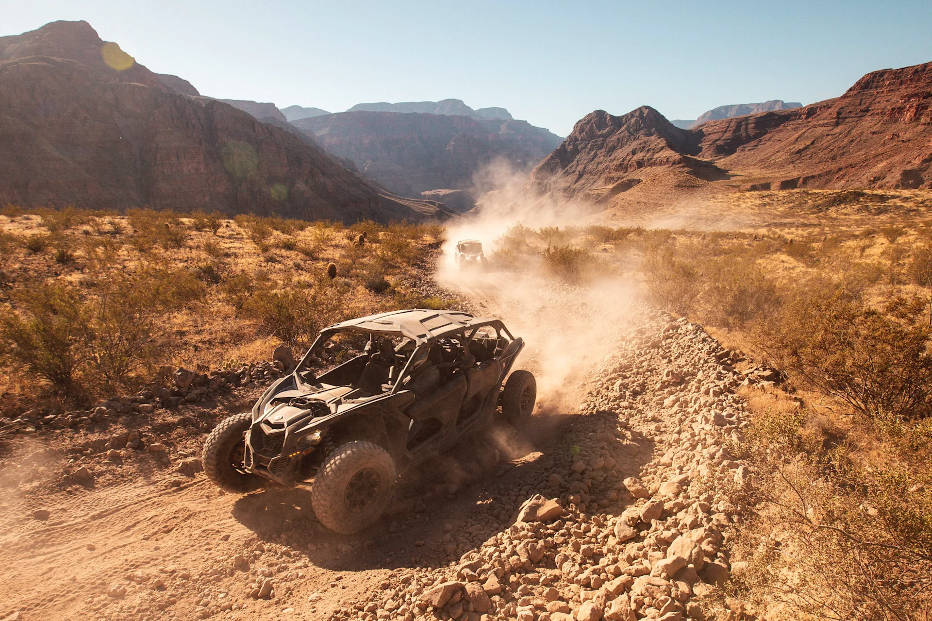 wilderness collective 