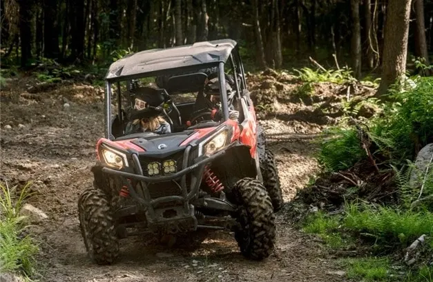 Big Bear Adventures - image 2