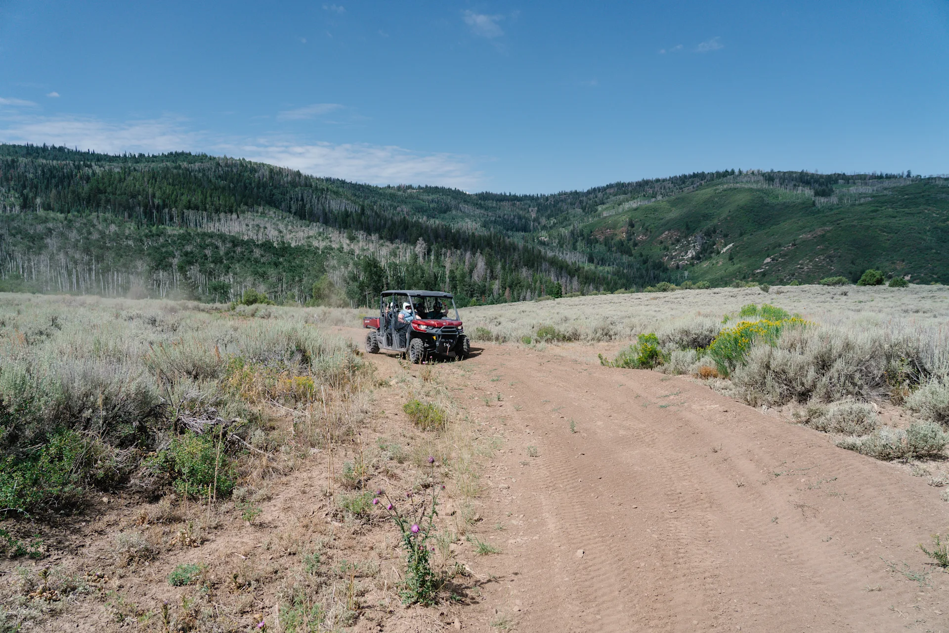 high canyon adventures 