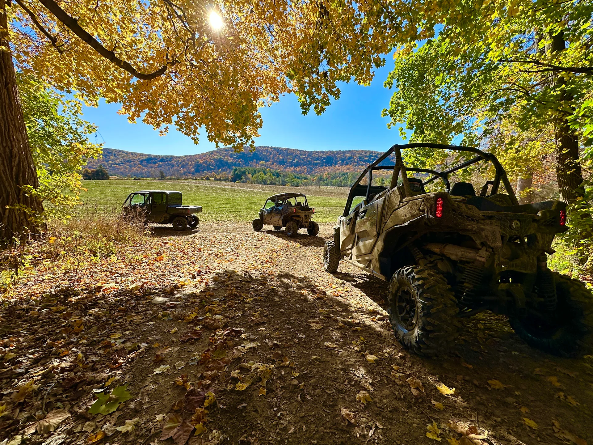 backyard adventure tours 