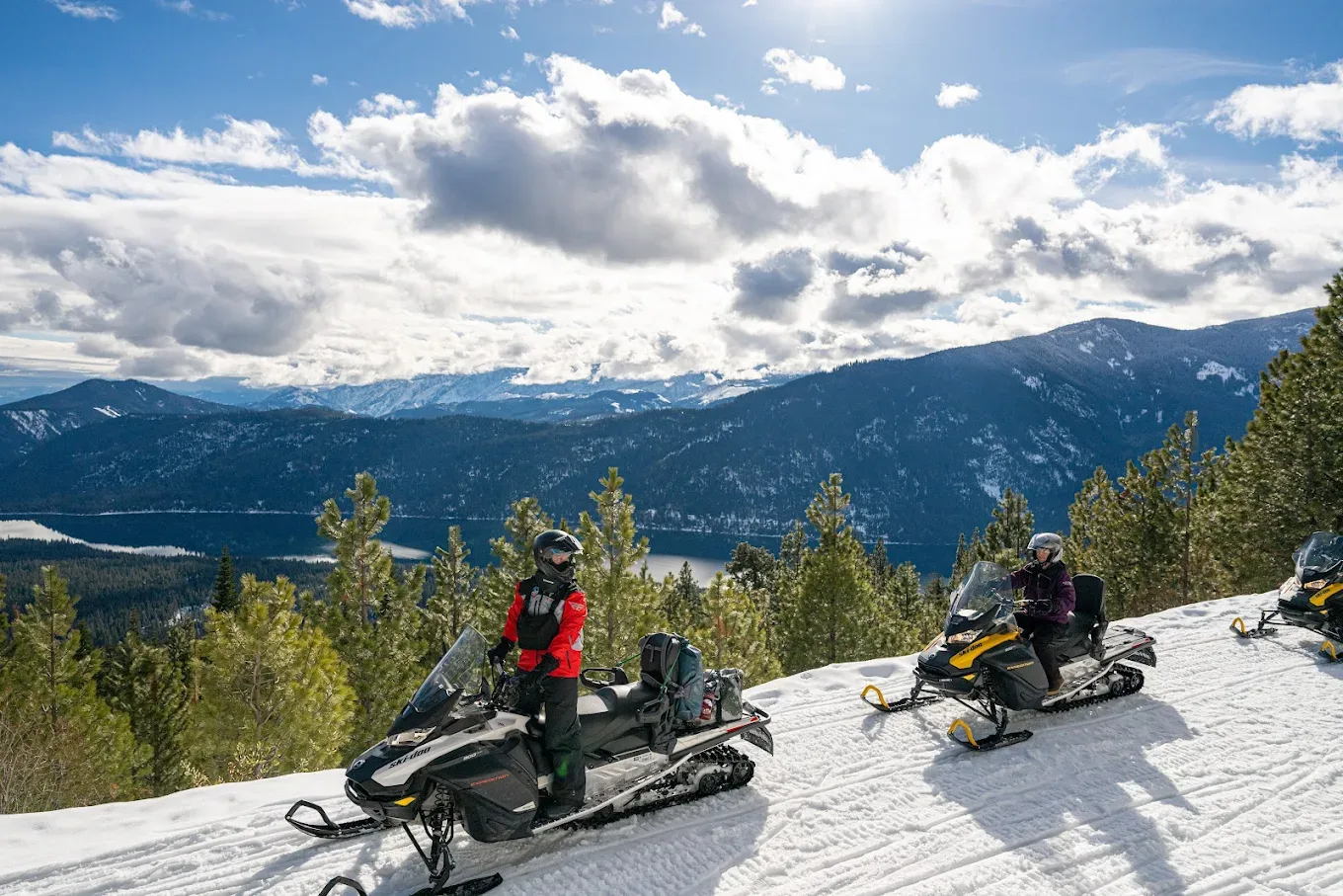 Mountain Springs Lodge - image 1