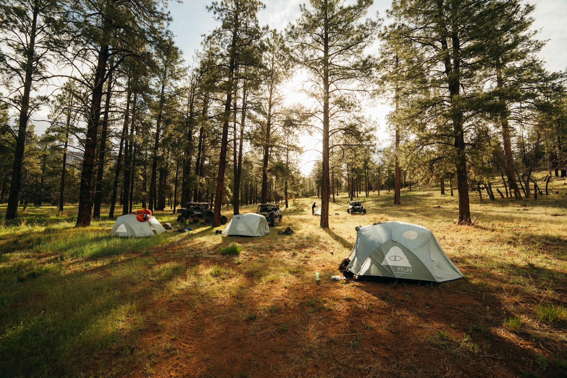 wilderness collective