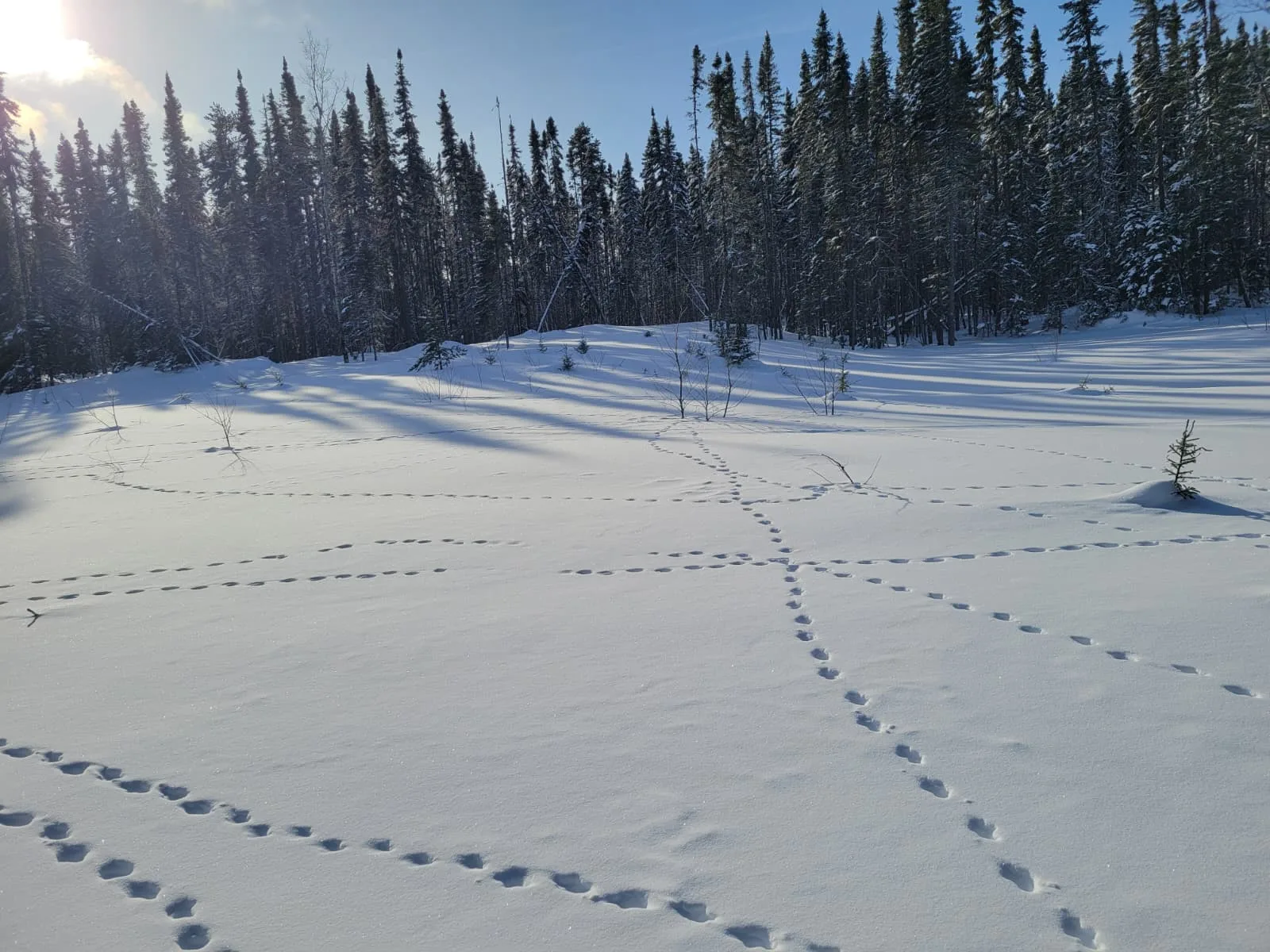 Ontario Québec Snowmobile Tours