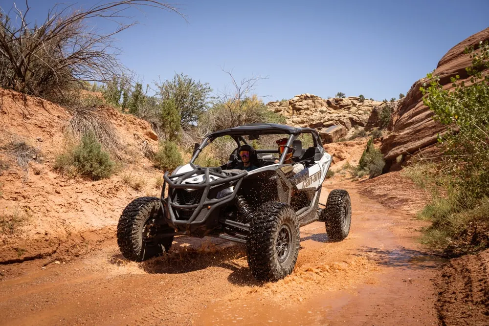 High Point Hummer - image 1