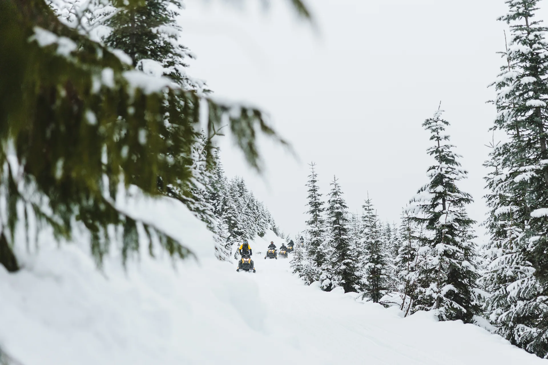 UNSO SKI DOO BC Tag Whistler 2026 MMX-3003